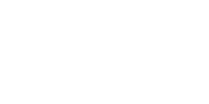 Dimond The Fiber Meeting